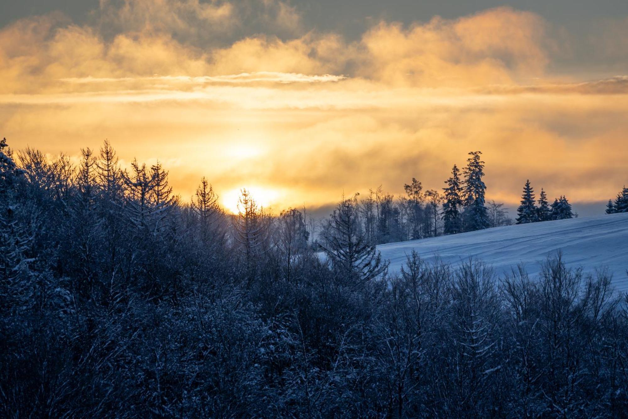 Harz Bnb Werkmeister Sankt Andreasberg Dış mekan fotoğraf